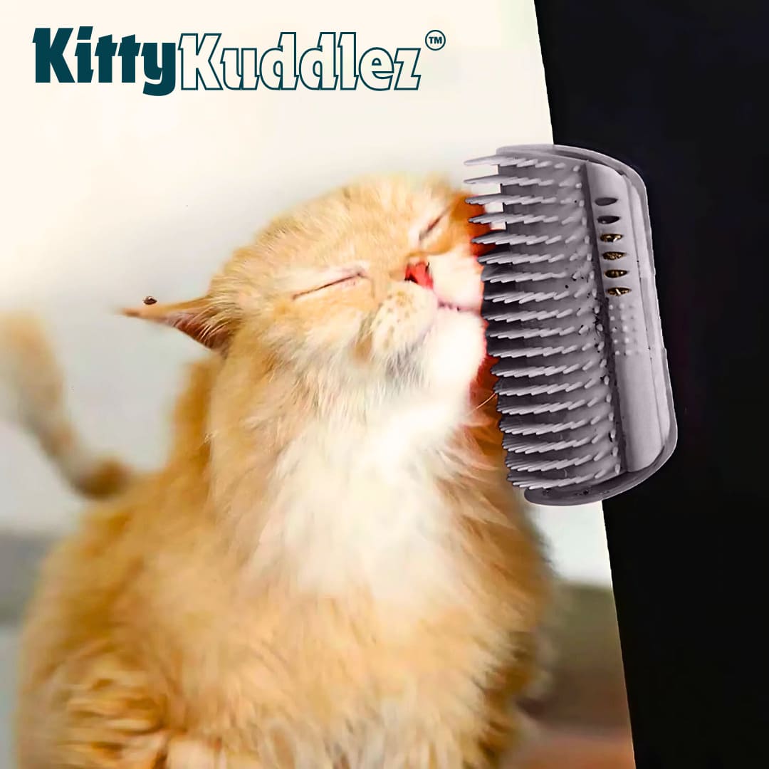 Kitty Kurlz Value Bundle