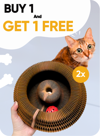 Kitty Kurlz™ [BUY 1 GET 1 FREE]