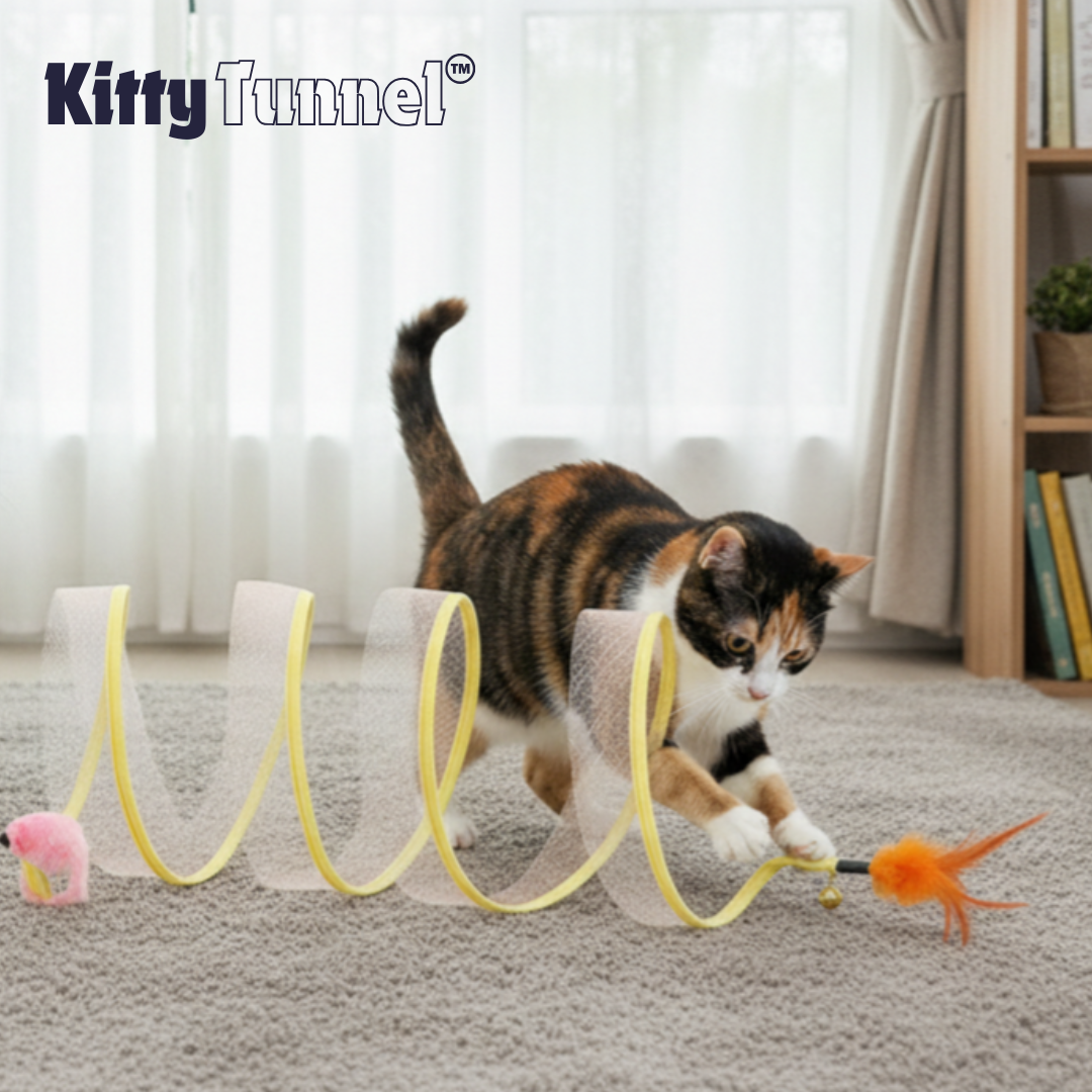 Kitty Tunnel™