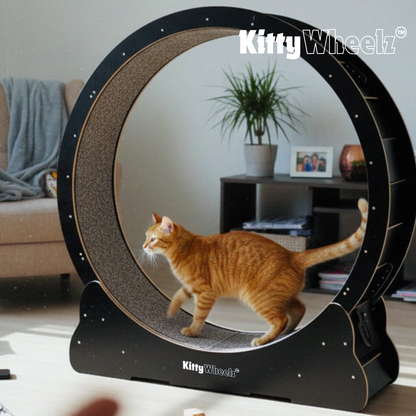 Kitty Wheelz