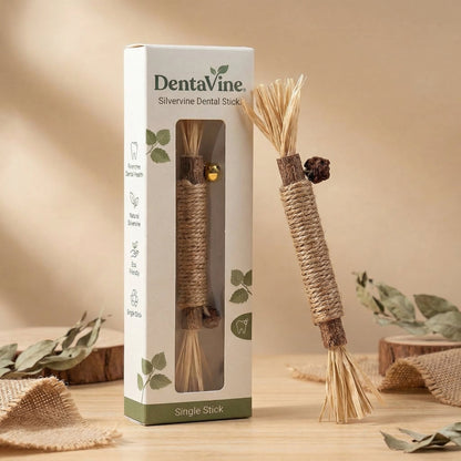 DentaVine™ [Silvervine Dental Stick]