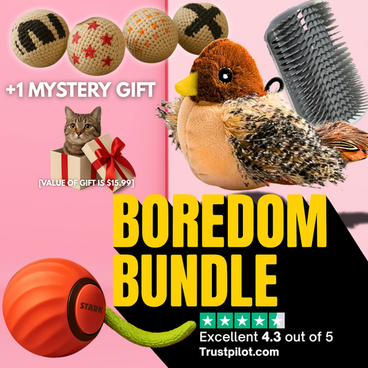 [June's Special Deal] Boredom Bundle
